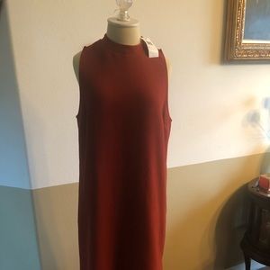 Beautiful LONG Tunic Dress NWT Size M Nordstrom’s